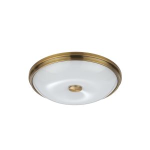 Настенно-потолочный светильник ODEON LIGHT PELOW 4956/4