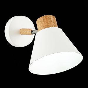 Светильник настенный EVOLUCE BUVE SLE103701-01