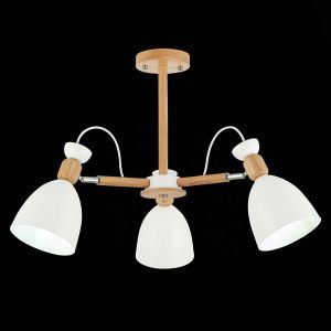 Светильник потолочный EVOLUCE BALCAMO SLE103802-03