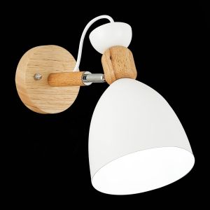 Светильник настенный EVOLUCE BALCAMO SLE103801-01