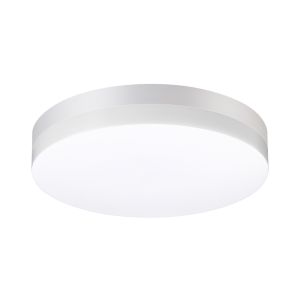 Светильник ландшафтный светодиодный настенно-потолочного монтажа NOVOTECH OPAL 358885