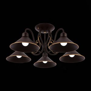 Светильник потолочный EVOLUCE CIOLLA SLE120402-05