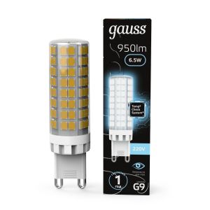Лампа GAUSS 107309206