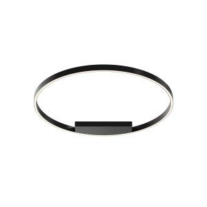 Потолочный светильник MAYTONI Rim MOD058CL-L50BK