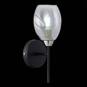 Светильник настенный EVOLUCE GLOA SLE155511-01