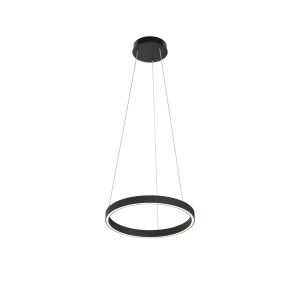 Подвесной светильник MAYTONI Rim MOD058PL-L22BK