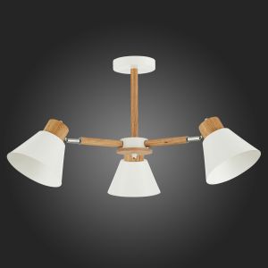 Светильник потолочный EVOLUCE BUVE SLE103702-03