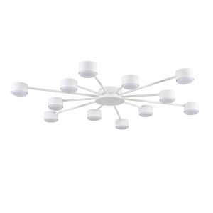 Люстра LUMION TORINA 8343/12C