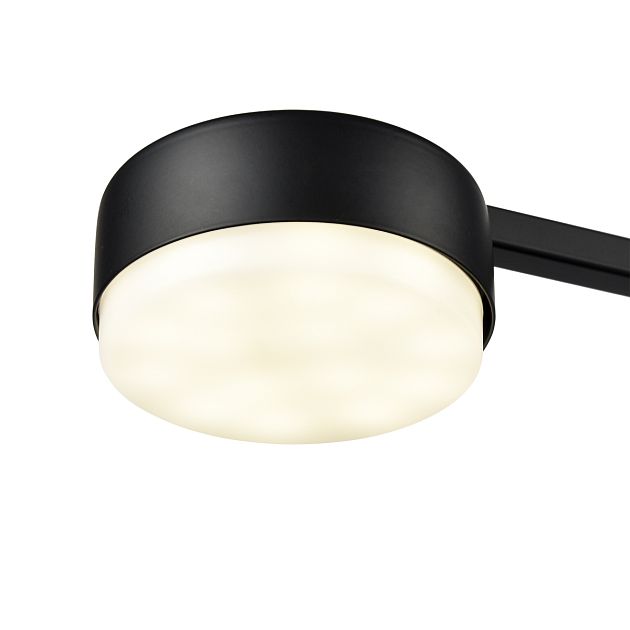 Люстра потолочная LUMION SANATA 8187/4C - фото 6