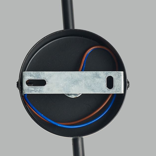 Светильник настенный LUMION MELODY 6581/1W - фото 5