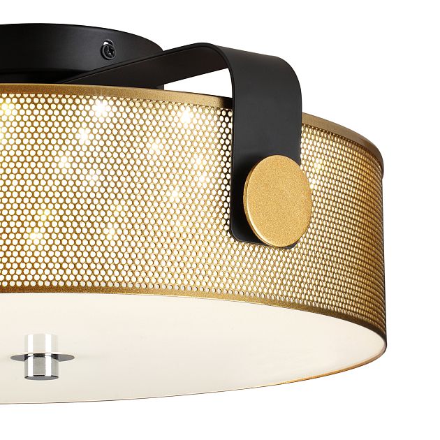 Потолочный светильник LUMION DRUMY 6597/40L - фото 6