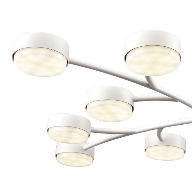 Люстра LUMION TORINA 8265/12 - фото 8