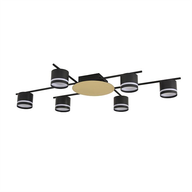 Светильник потолочный LUMION BENUA 8304/6C - фото 1