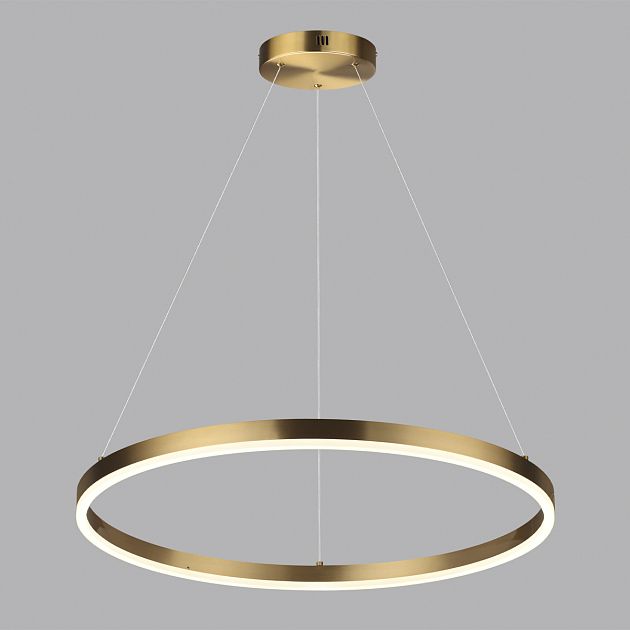 Люстра подвесная LUMION ECHO 6531/50L - фото 3