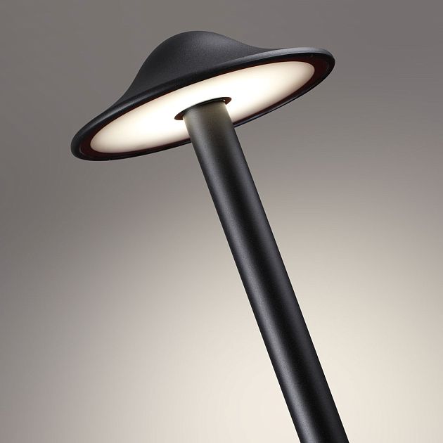 Светильник ландшафтный светодиодный NOVOTECH FUNG 359302 - фото 5