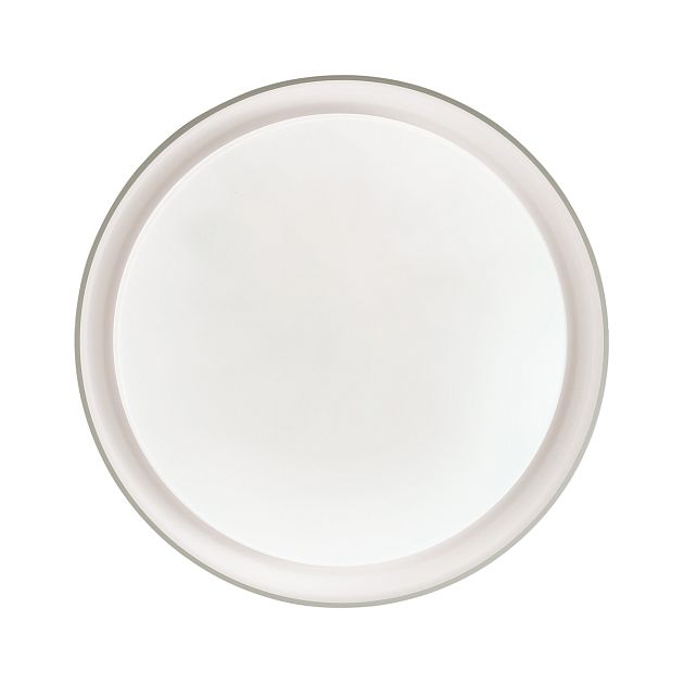 Настенно-потолочный светильник СОНЕКС BIONIC 3030/DL - фото 3