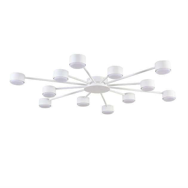 Люстра LUMION TORINA 8343/12C - фото 1