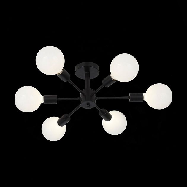 Светильник потолочный EVOLUCE ANO SL419.402.06 - фото 1