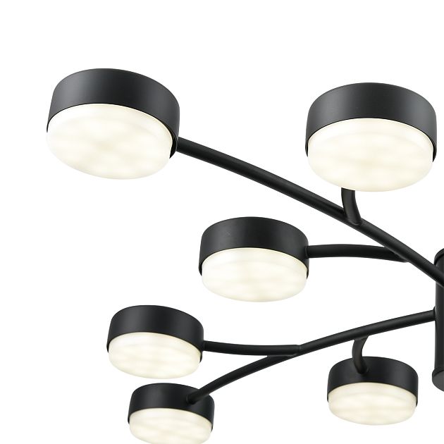 Люстра LUMION TORINA 8117/12 - фото 9