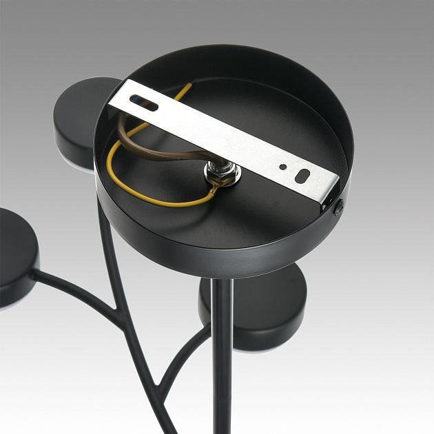 Люстра LUMION TORINA 8117/12 - фото 11