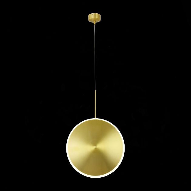 Светильник подвесной ST LUCE IMENTE SL1221.213.01 - фото 1