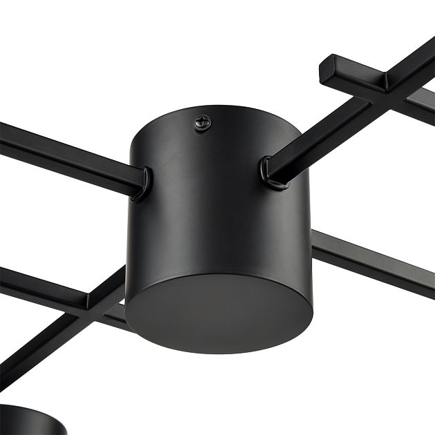 Люстра потолочная LUMION DABRA 8186/8C - фото 7