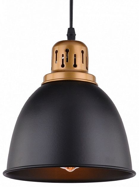 Подвесной светильник Eurica A4245SP-1BK ARTE LAMP EURICA AR_A4245SP-1BK - фото 1