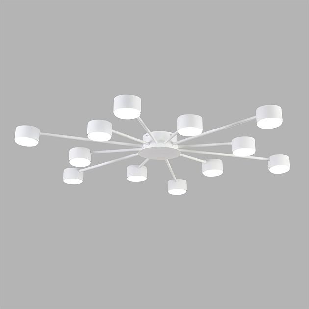 Люстра LUMION TORINA 8343/12C - фото 4