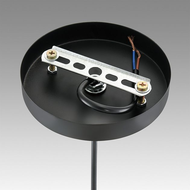 Светильник подвесной LUMION LEONELA 8052/1A - фото 9