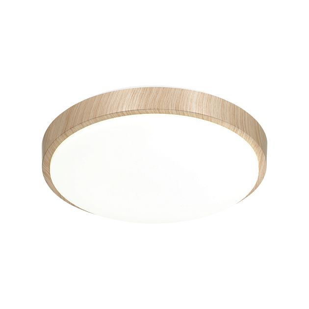 Настенно-потолочный светильник СОНЕКС LOSTA 7607/DL - фото 4