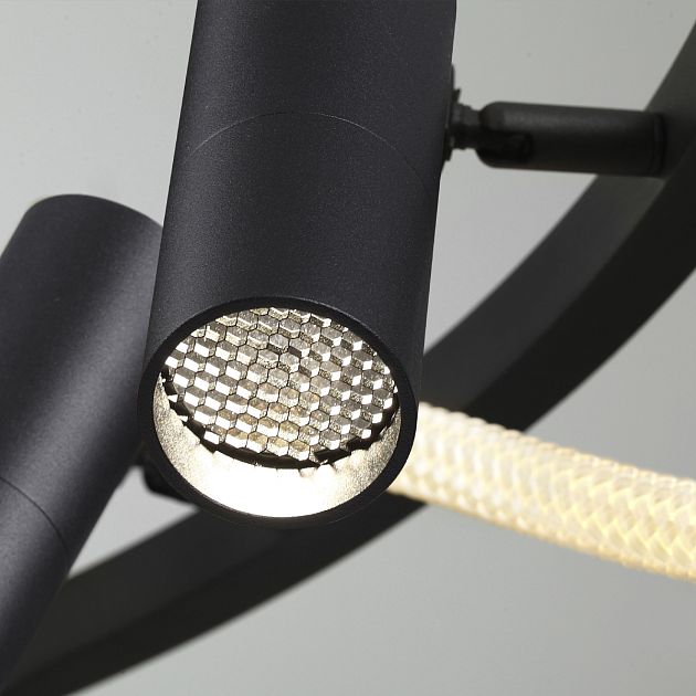 Люстра подвесная ODEON LIGHT CORDA 4391/55L - фото 5