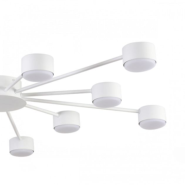 Люстра LUMION TORINA 8343/12C - фото 7