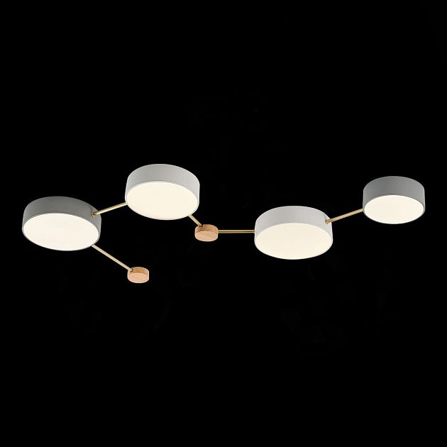 Светильник потолочный EVOLUCE DOSSENA SLE600102-04 - фото 1