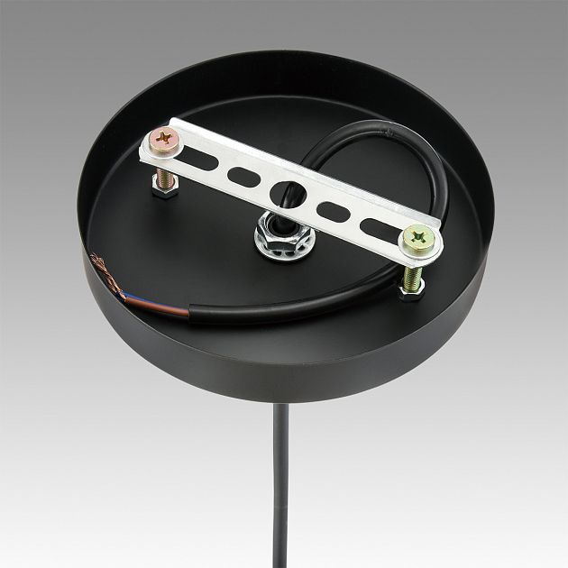 Светильник подвесной LUMION ELENIKA 8056/1A - фото 9