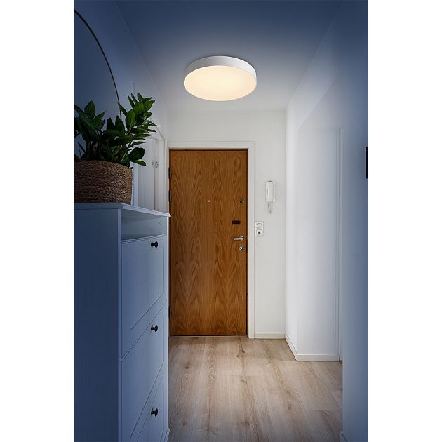 Настенно-потолочный светильник СОНЕКС OPTIMA 7779/ELN - фото 5