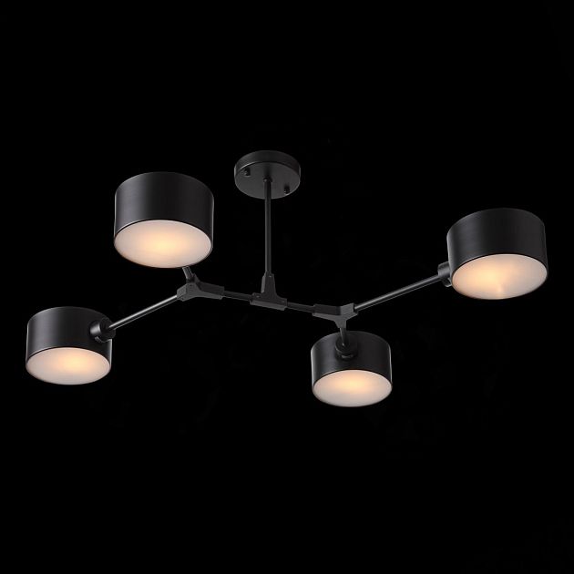 Светильник потолочный EVOLUCE GIMENTO SLE183402-04 - фото 1