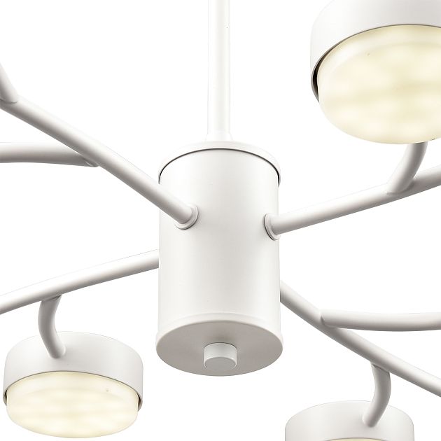 Люстра LUMION TORINA 8265/12 - фото 7