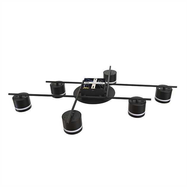 Светильник потолочный LUMION BENUA 8304/6C - фото 5