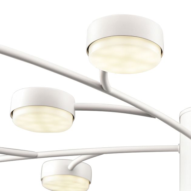 Люстра LUMION TORINA 8265/15 - фото 9