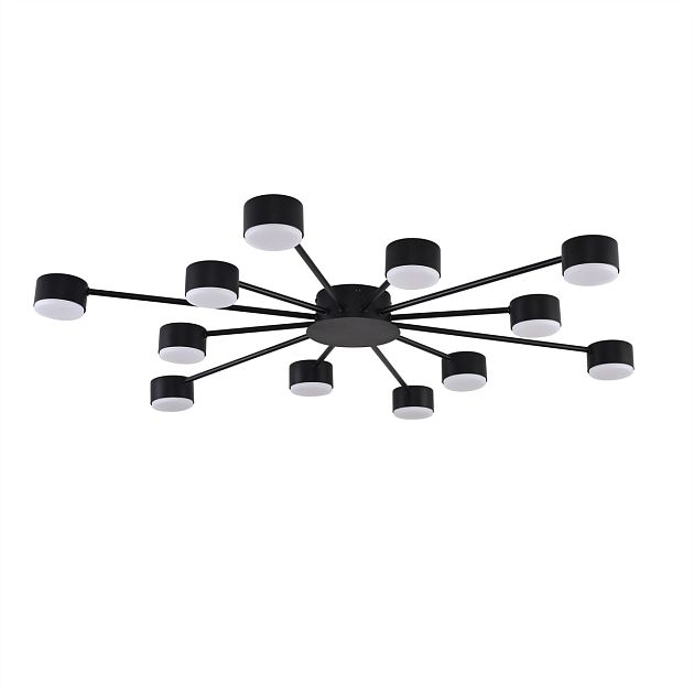 Люстра LUMION TORINA 8344/12C - фото 1