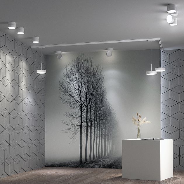 Подвес трековый однофазный трехжильный светодиодный NOVOTECH PROMETA 358767 - фото 4