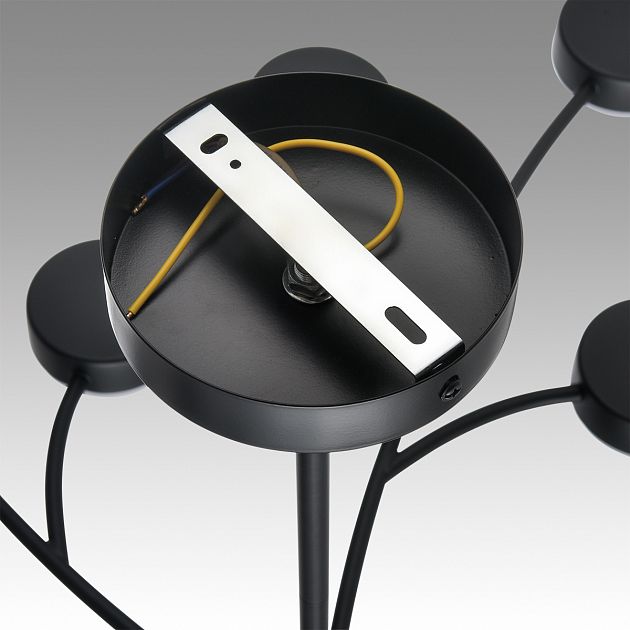 Люстра LUMION TORINA 8117/18 - фото 11