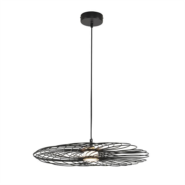 Подвес LUMION CAMOMILE 8379/10L - фото 1