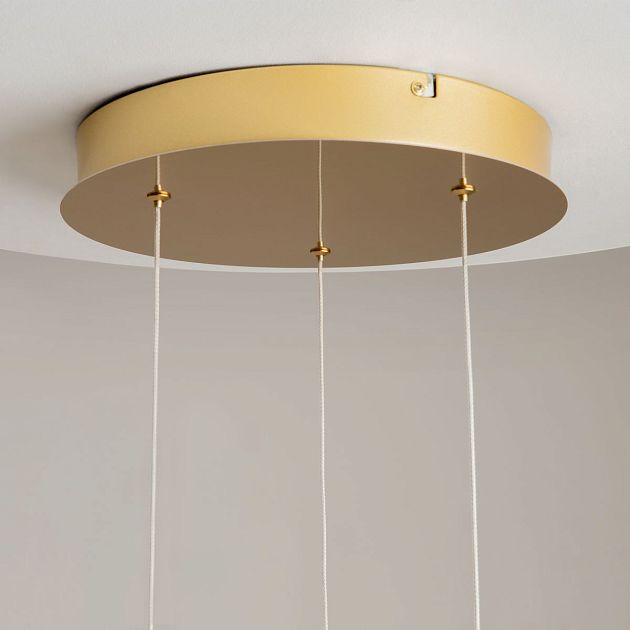 Подвесной светильник MAYTONI Foresight MOD347PL-L24BS3K - фото 7