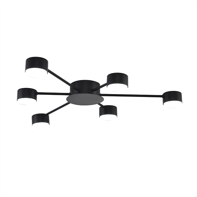 Люстра LUMION TORINA 8344/6C - фото 3