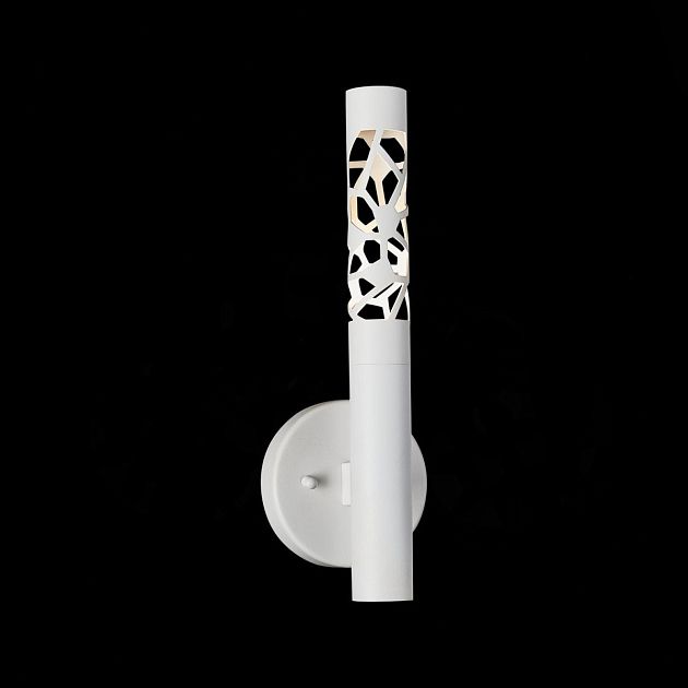 Светильник настенный ST LUCE FIZORIO SL1577.501.01 - фото 1