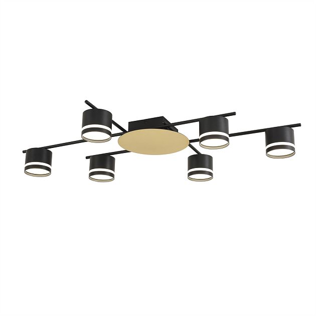 Светильник потолочный LUMION BENUA 8304/6C - фото 3