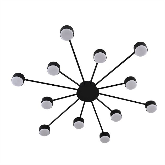 Люстра LUMION TORINA 8344/12C - фото 6