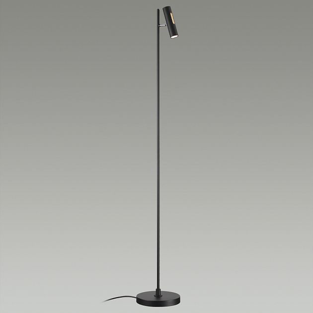 Напольный светильник ODEON LIGHT MALI 6643/5FL - фото 4