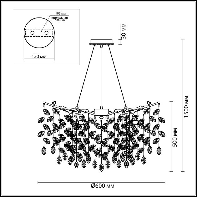 Люстра ODEON LIGHT DELICA 4970/10 - фото 2